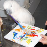 Philippe Painting